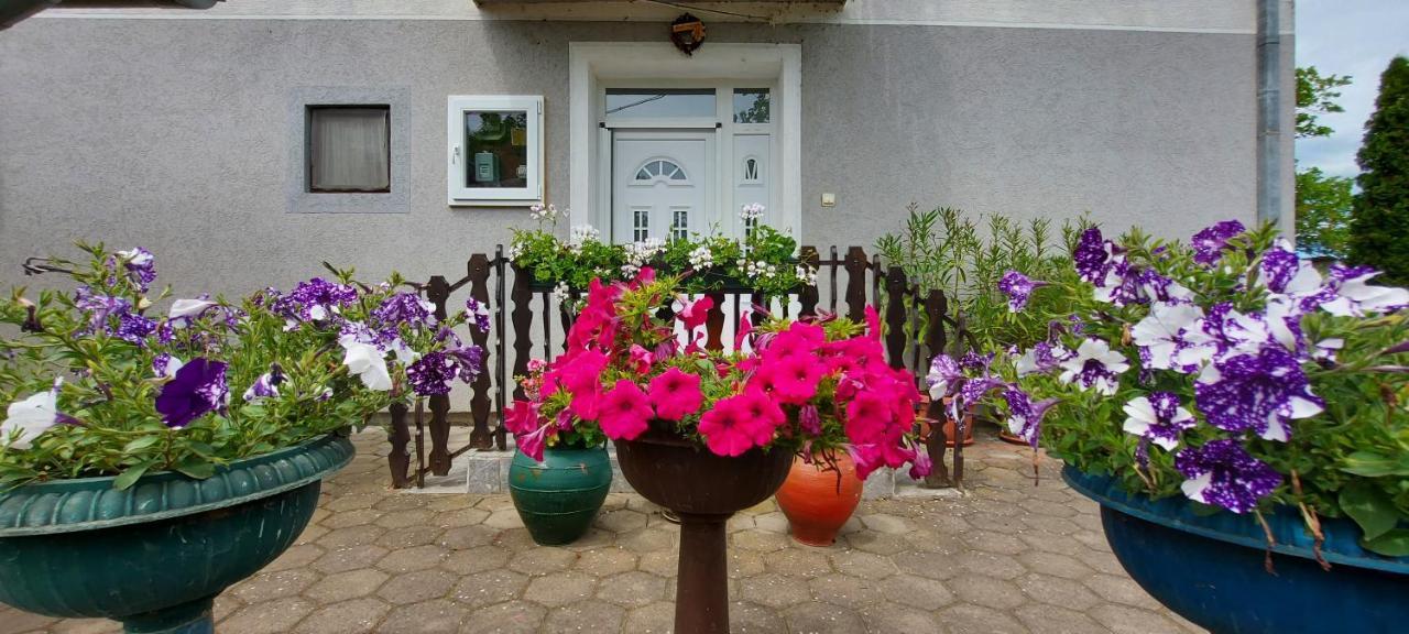 Guest House Dunavski Raj Kostol エクステリア 写真