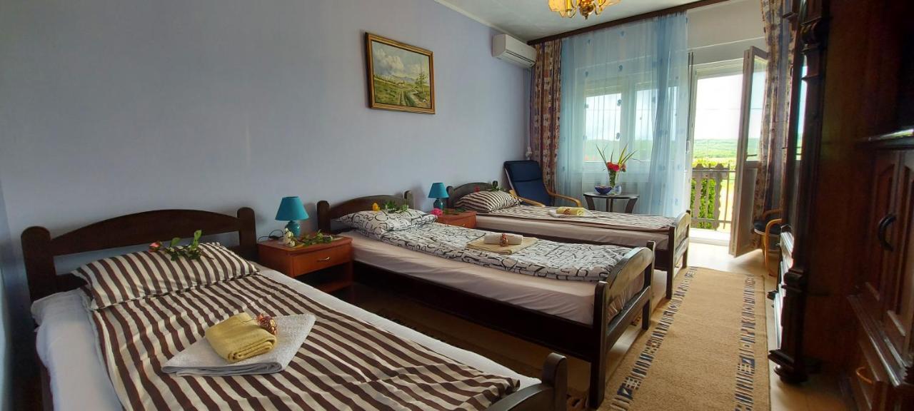 Guest House Dunavski Raj Kostol エクステリア 写真
